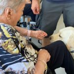 la teràpia assistida amb gossos per a gent gran